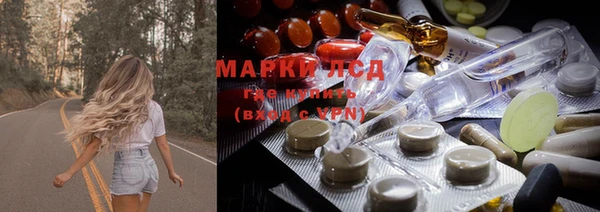 мяу мяу мука Абаза