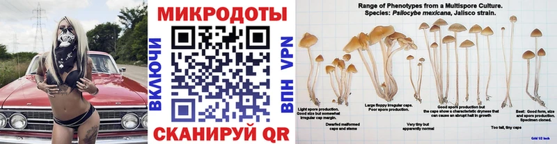 Галлюциногенные грибы Cubensis  Костерёво 